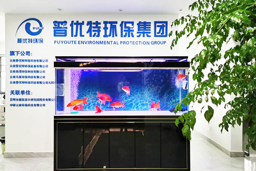 关于爱游戏体育官方网站首页